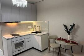 Шикарная однушка 