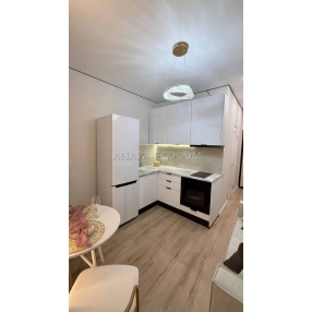 Шикарная 1-комнатная квартира 