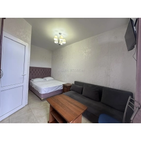 Студия в центре с пропиской!